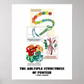 Poster Les Structures Multiples De Protéines (Biologie) (Devant)