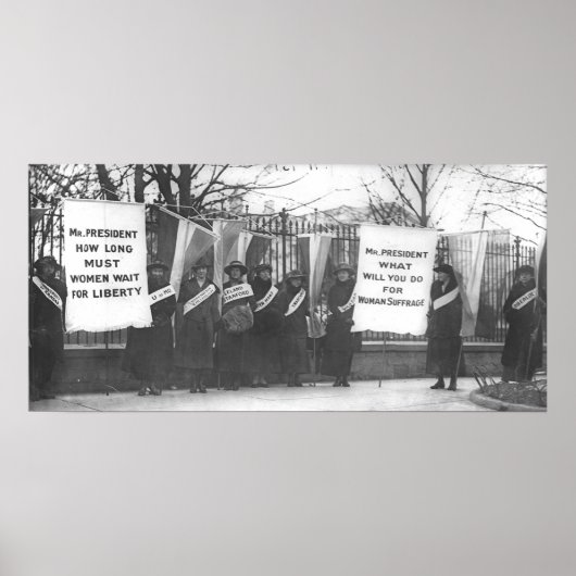 Poster Les suffragettes chatouillent la Maison Blanche (Devant)