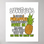 Poster Les Surveyeurs Sont Comme Des Ananas. (Devant)