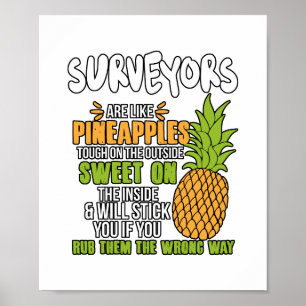 Poster Les Surveyeurs Sont Comme Des Ananas.