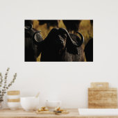 Poster Les tentures murales de Buffalo Cape (Cuisine)