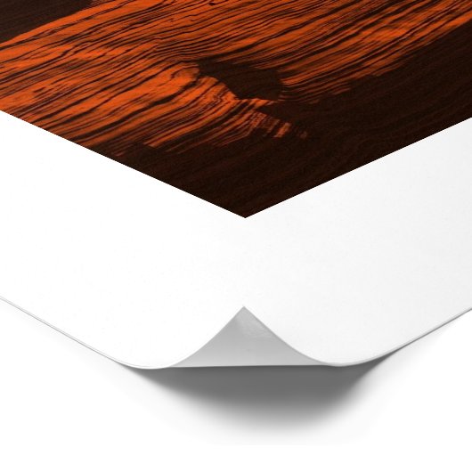 Poster Les terres dévastées (Coin)