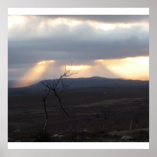 Poster Les terres sauvages (Devant)