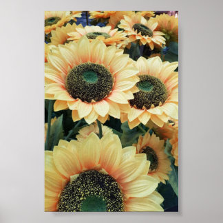 Poster Les tournesols jaunes me rendent heureux