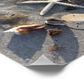 Poster Les trésors de la plage de Low Tide (Coin)