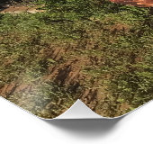 Poster Les trésors Junkyard (Coin)