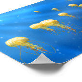 Poster Les trésors marins (Coin)