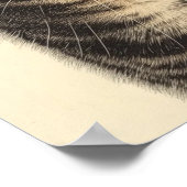 Poster Les trésors tabby de Dürer 1 (Coin)