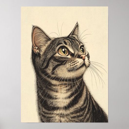Poster Les trésors tabby de Dürer 1 (Devant)