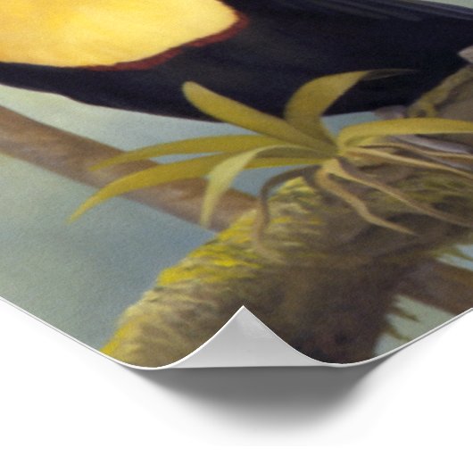 Poster "Les Trois Amigos" (Coin)