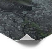 Poster Les Trois Amigos (Coin)