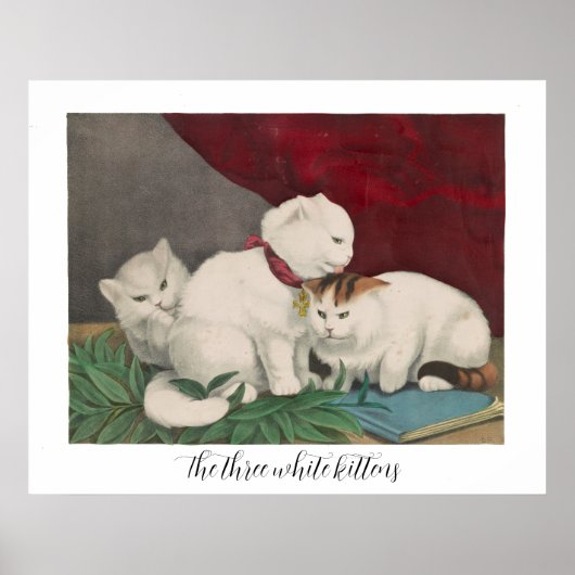 Poster Les trois chatons blancs - paix - O.S. sc., Currie (Devant)