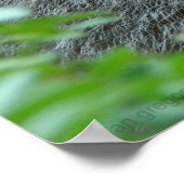 Poster Les Trois Raccoons (Coin)