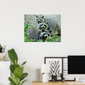 Poster Les Trois Raccoons (Bureau à domicile)