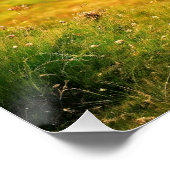 Poster les tuyaux en Écosse, générés par l'IA, (Coin)