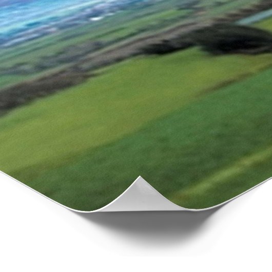 Poster Les Urinales d'Irlande (Coin)