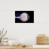 Poster Les vaisseaux sanguins de l'oeil (Cuisine)