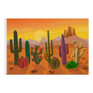 Poster Les variétés de cactus complète, plantes piquantes