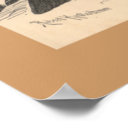 Poster Les vautours (Coin)