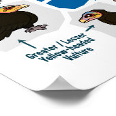 Poster Les vautours de la carte mondiale (Coin)