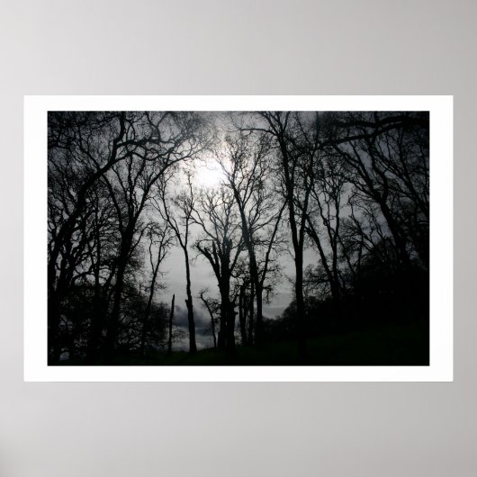 Poster Les veines de la nature (Devant)