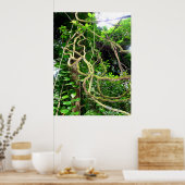 Poster Les vignes de la Jungle (Cuisine)