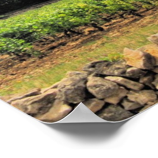 Poster Les vignobles de St. Emillion (Coin)