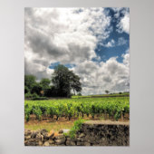 Poster Les vignobles de St. Emillion (Devant)