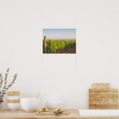 Poster Les vignobles de Tokaj, Hongrie (Cuisine)