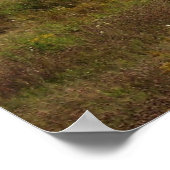 Poster Les voiles de foin (Coin)