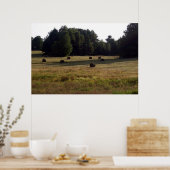 Poster Les voiles de foin (Cuisine)