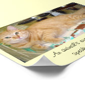 Poster Les yeux des animaux parlent une grande langue (Coin)