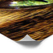 Poster Les yeux des chats (Coin)