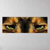Poster Les yeux des chats (Devant)
