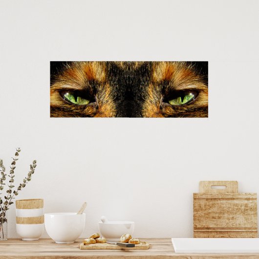 Poster Les yeux des chats (Cuisine)