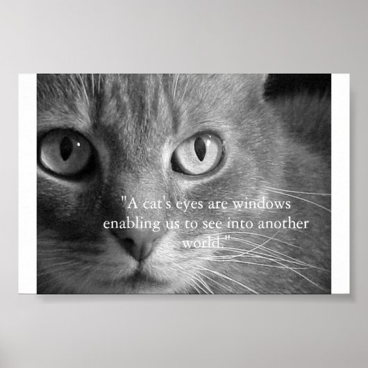 Poster Les yeux d'un chat... (Devant)