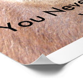 Poster Les yeux espions (Coin)