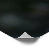 Poster L'espionnage du chat du Bengale (Coin)