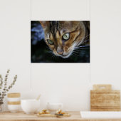 Poster L'espionnage du chat du Bengale (Cuisine)