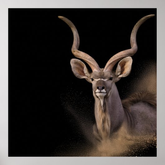 Poster L'Esprit de Kudu (Devant)