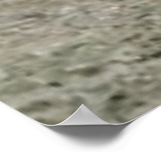 Poster L'Essence Zen De La Vie (Coin)