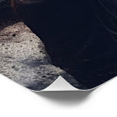 Poster "Let Go or Be Dragged" et Cheval puissant (Coin)