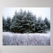 Poster Let It Snow (Devant)