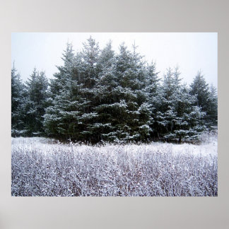 Poster Let It Snow