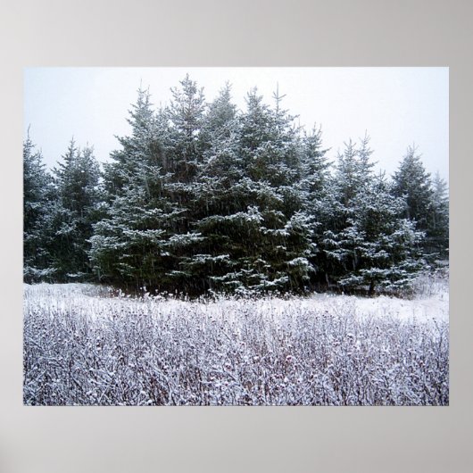 Poster Let It Snow (Devant)