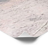 Poster Let Sleepy Lions Lie (Coin)