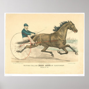 Poster L'étalon de trot Palo Alto par Electioneer (1791A)