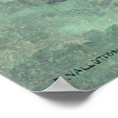 POSTER L'ÉTANG (Coin)