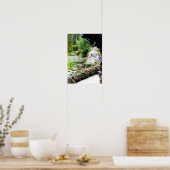 Poster L'étang des loisirs (Cuisine)