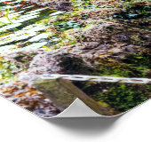 Poster L'étang des loisirs (Coin)